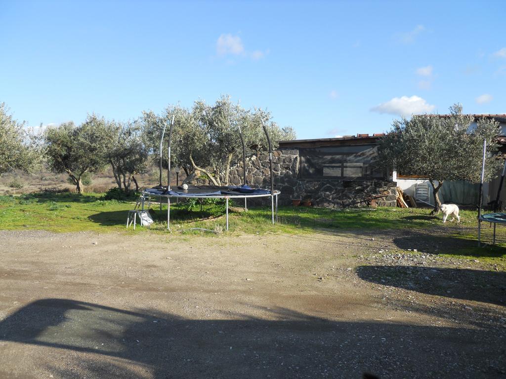 Agriturismo Su Nuratolu Villa Sagama Eksteriør bilde